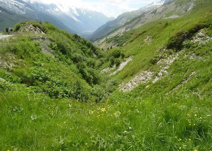 Les Drus / Du Brevent 公寓