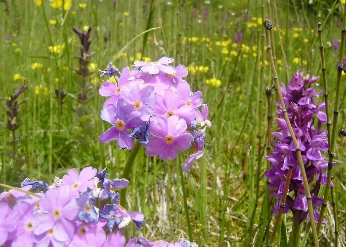 Les Drus / Du Brevent *