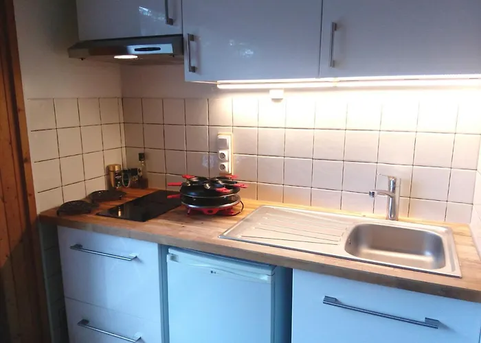 Les Drus / Du Brevent 公寓 霞慕尼