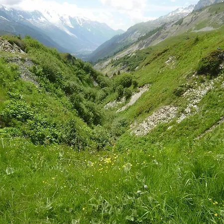 Les Drus / Du Brevent Apartment