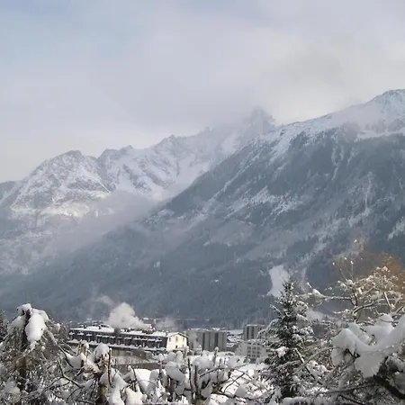 Les Drus / Du Brevent Apartment *